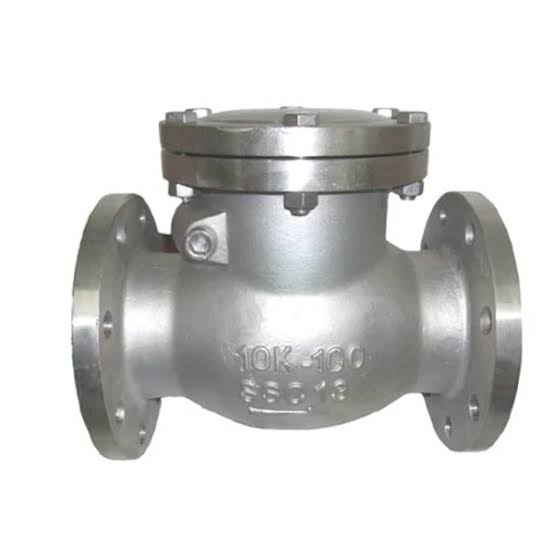 Swing Check Valve